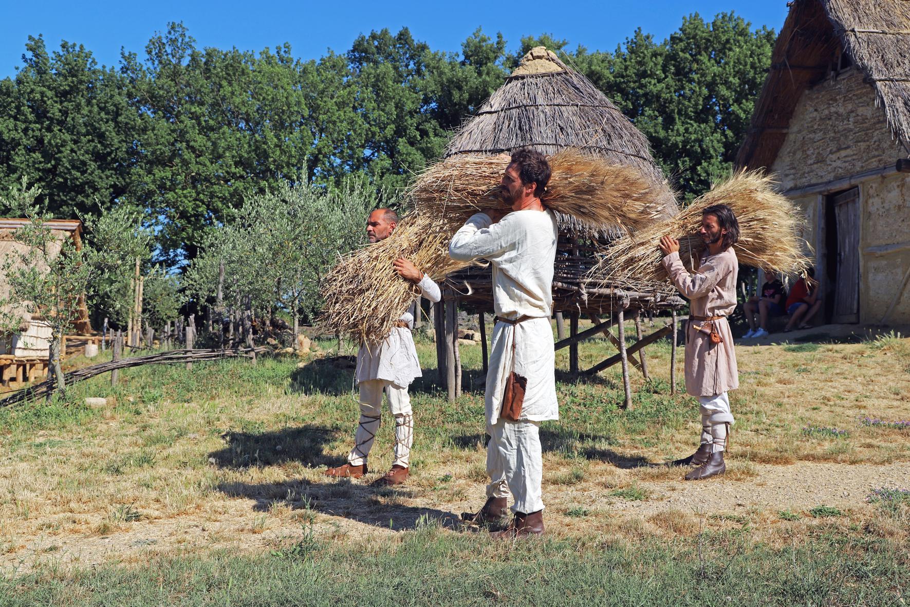 Il Medioevo in Valdelsa Valdicecina