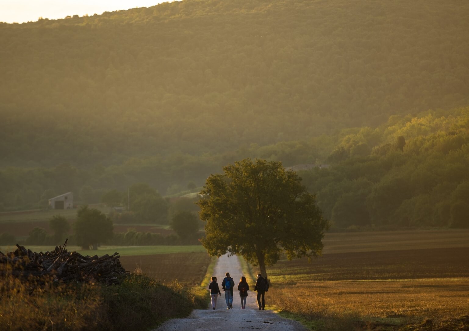 Sulla Via Francigena